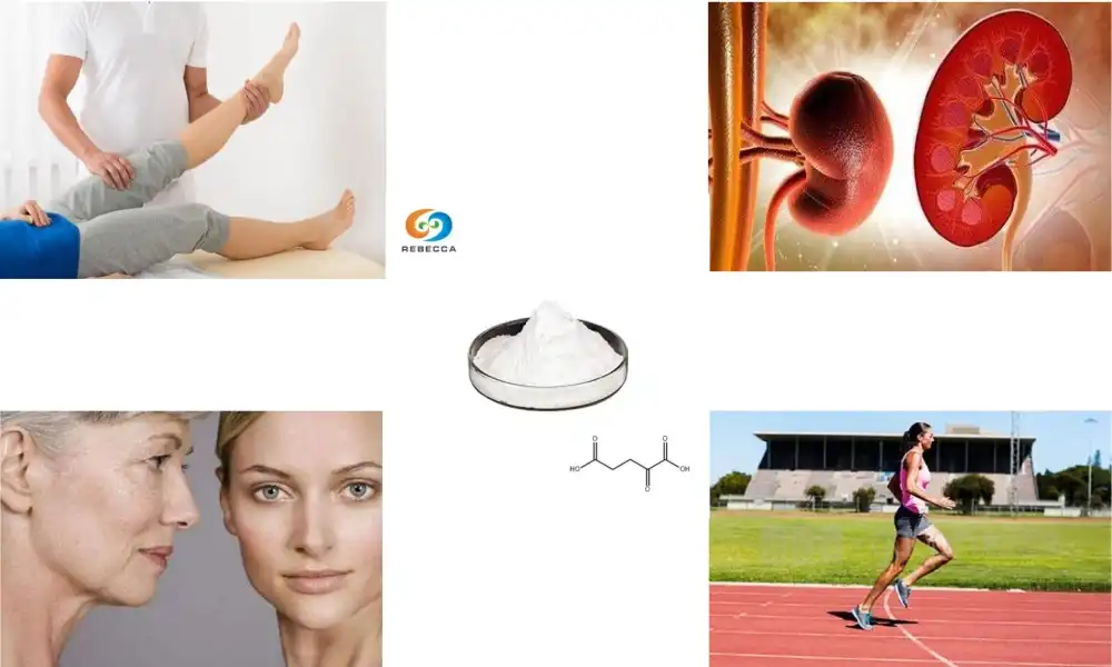 What is the hygroscopicity of calcium alpha-ketoglutarate?